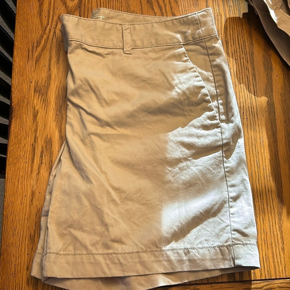 Loft 6 inch Shorts/2